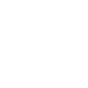 Logo de la marque de lingerie grande taille Praline Curvy